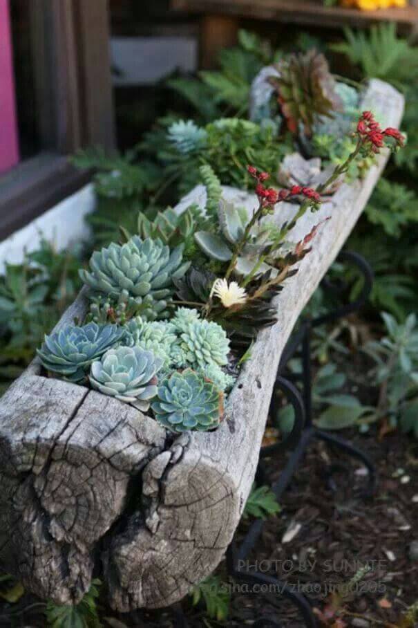 8.15 pinterest succulents - Top Pins August 2015