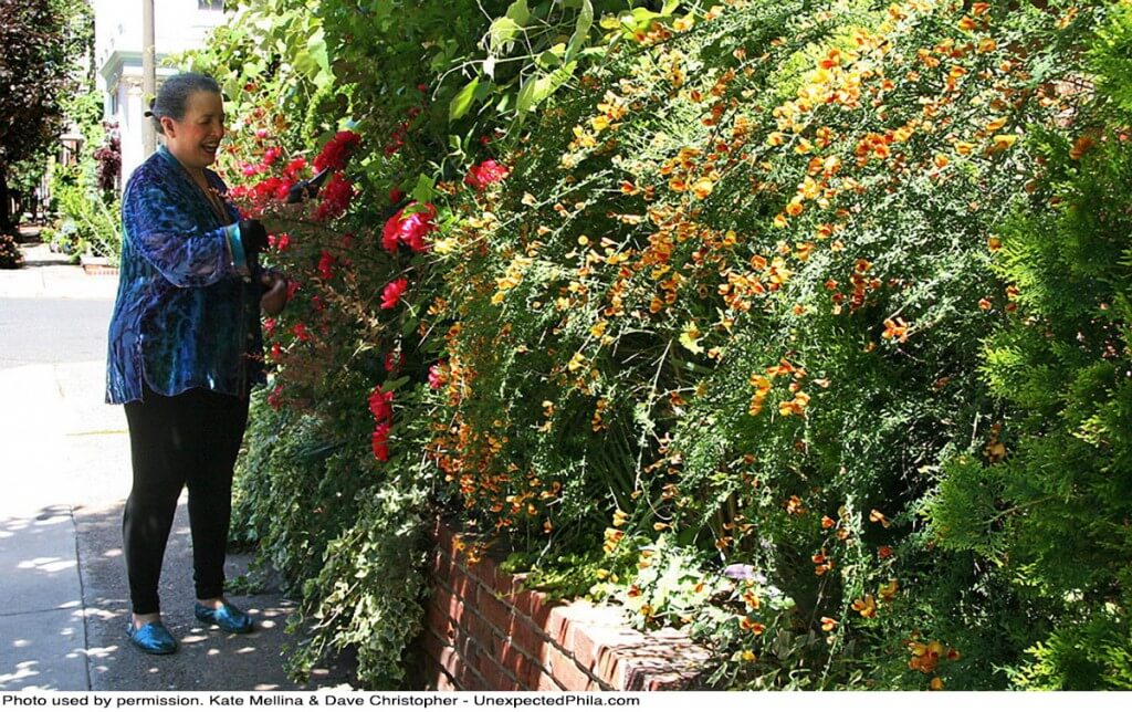 BetsyInGarden Image6 1024x644 - An Urban Oasis Grows in Philly