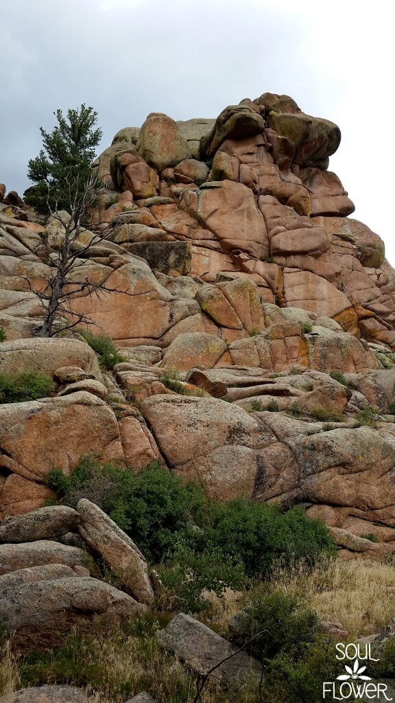 camping 5 576x1024 - Veda-what? Exploring Vedauwoo