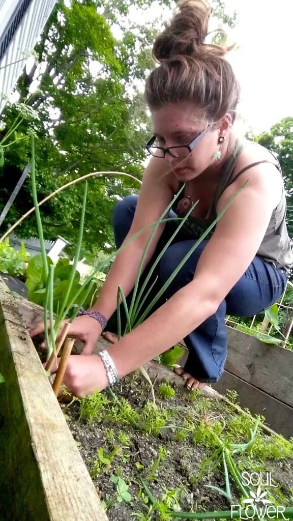 Hands in the Dirt - Soul Flower Blog 