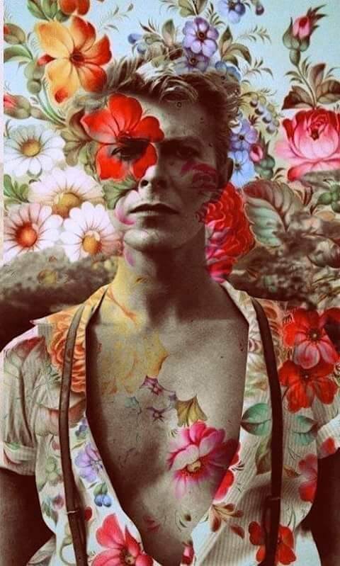 pinterest bowie - Top Pins January 2016