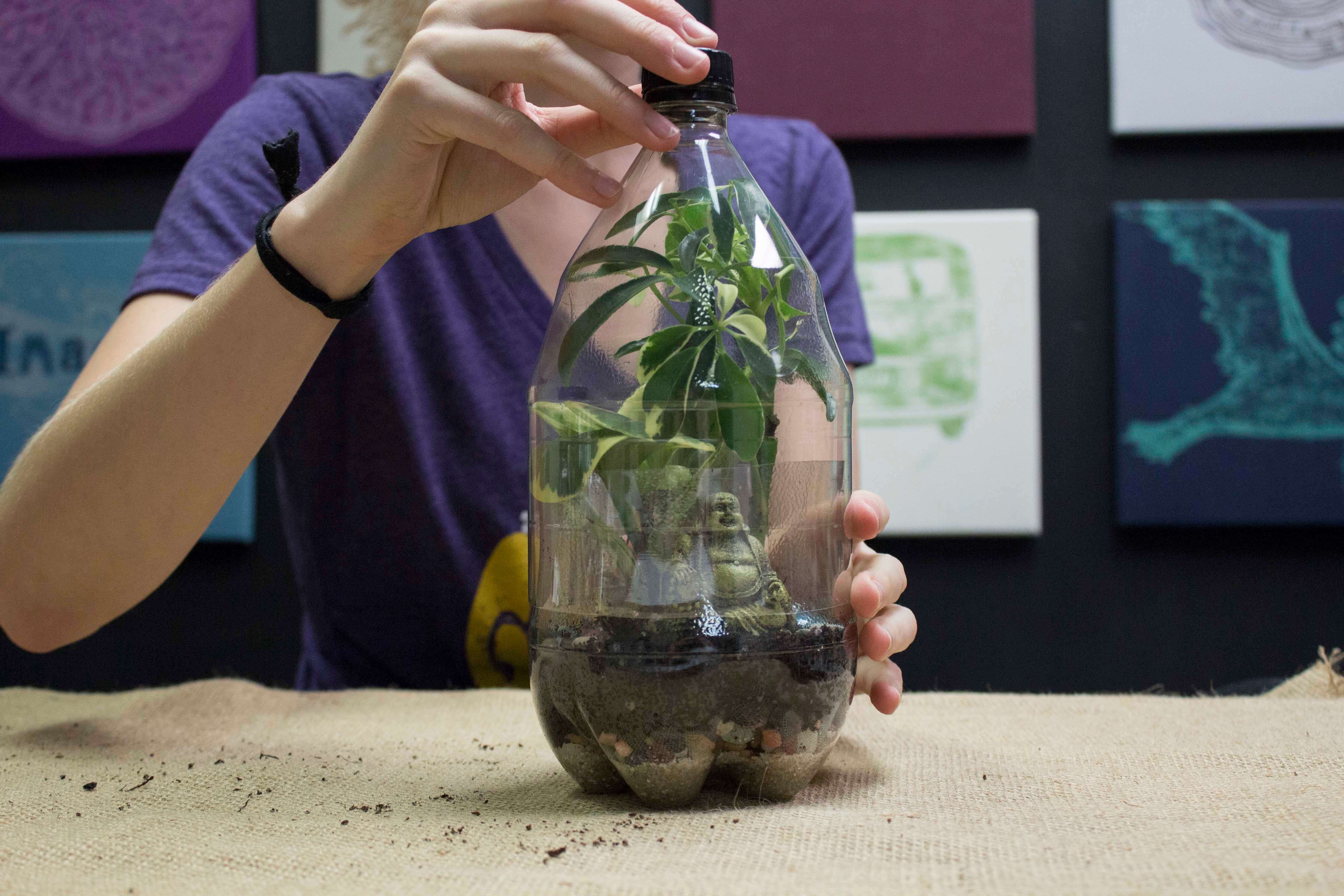 plastic bottle terrarium top lid - Plastic Bottle Terrarium - Soda Bottle Terrarium