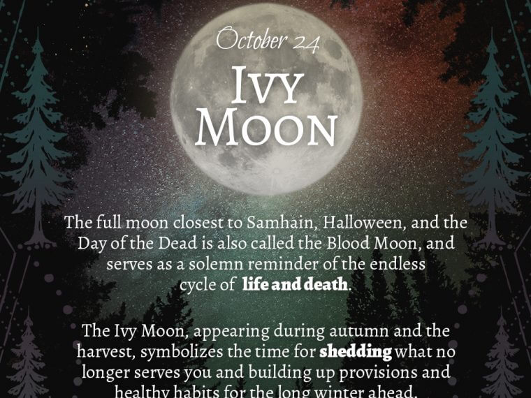 ivy moon preview