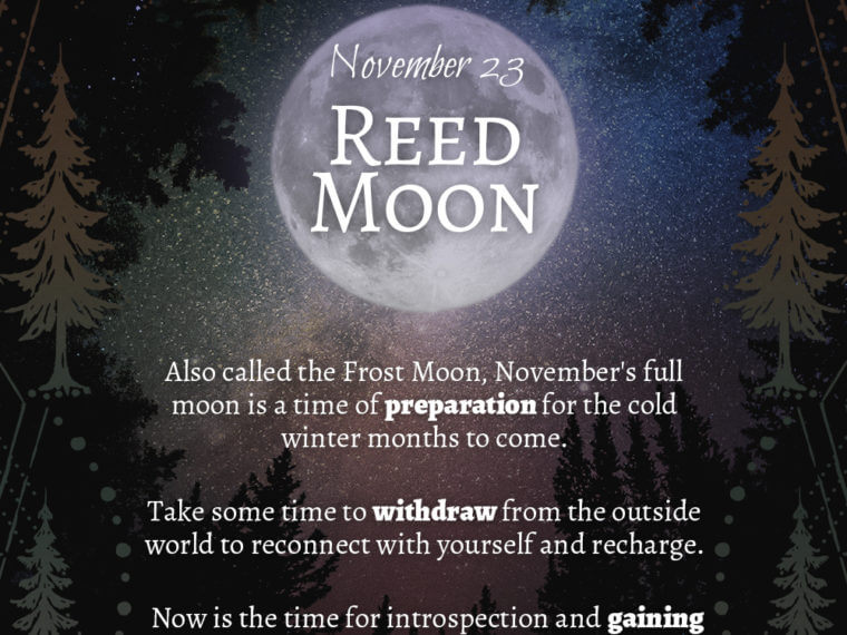 11 23 760x570 - 2018 Full Moons - November Reed Moon