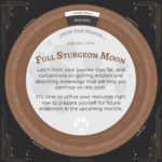 Moon Calendar 2020 - August Full Moon