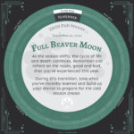 Moon Calendar 2020 - November Full Moon