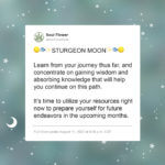 2022 08 august full sturgeon moon 150x150 - 2022 Full Moon Calendar - Full Moon Wisdom