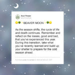2022 11 november full beaver moon 150x150 - 2022 Full Moon Calendar - Full Moon Wisdom
