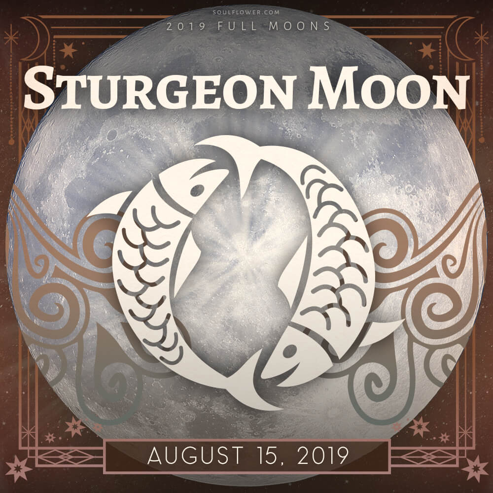 Aug 2019 full moon - 2019 Full Moon Calendar - Full Moon