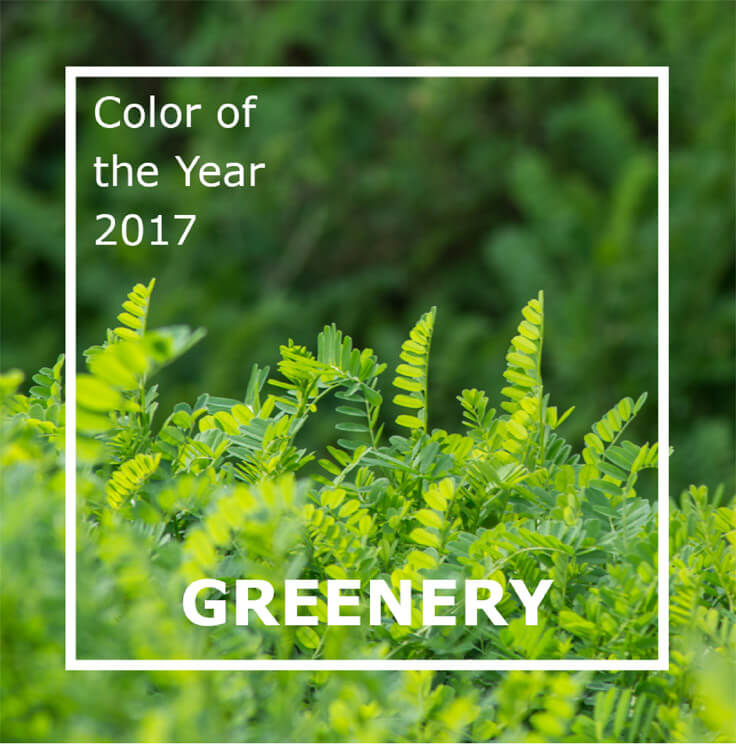 Blog greenery2 01 - Pantone Color of the Year: Greenery