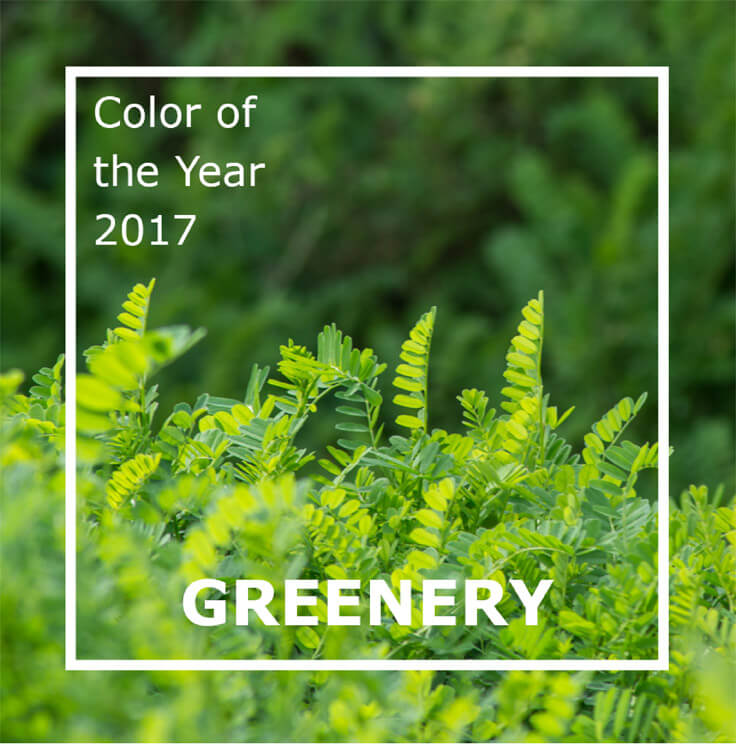 Pantone Color of the Year: Greenery | Soul Flower Blog | Soulflower | Hippie Clothes | Boho | Eco-Friendly Clothes | Organic 