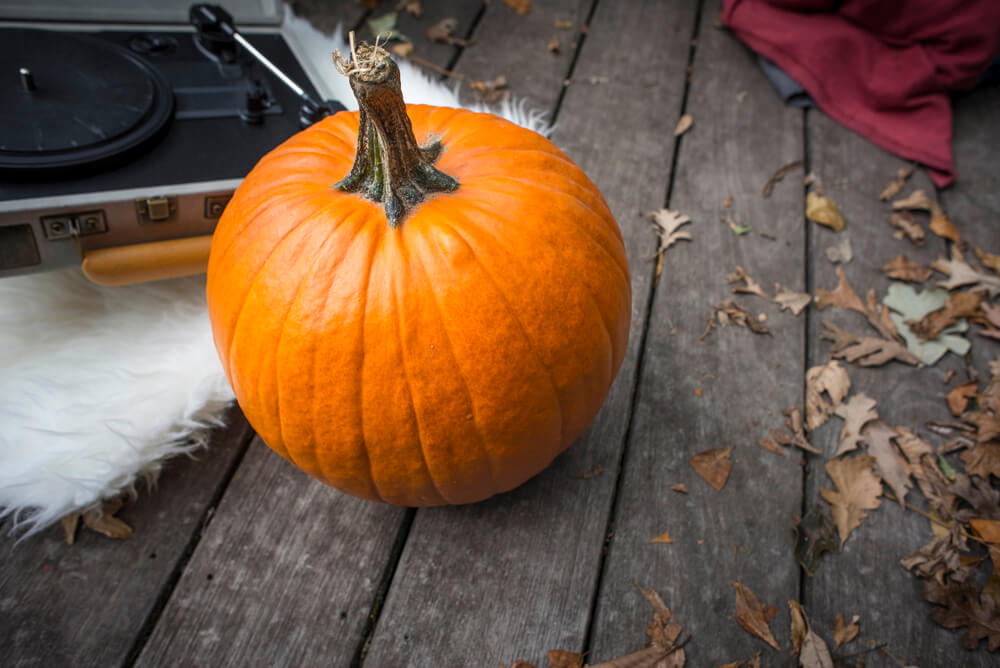 Behind the Scenes: Cabin Photoshoot | Soul Flower Blog