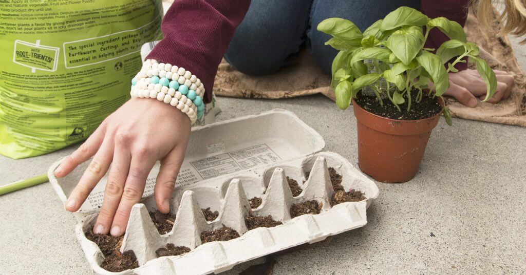 EarthDay Blog11 1024x537 - Planting for Pollinators