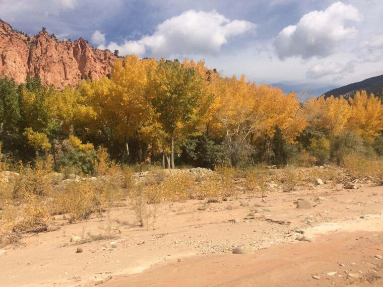 A sandy, rocky stream bed in the foreground with yellow-leaved trees and earthy red cliffs in the background under a partly cloudy sky. Soul Flower Blog: Hippie Style & Kind Living