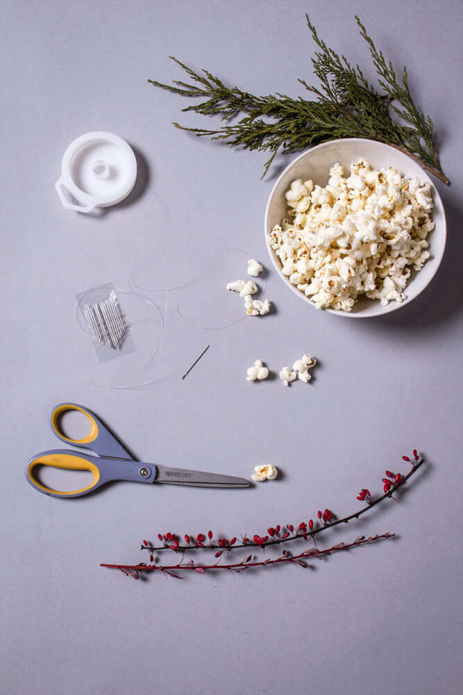 DIY Popcorn Garland - Homemade Garland