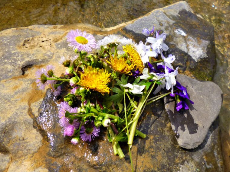 Modern Hippie Lifestyle - My Inner Hippie