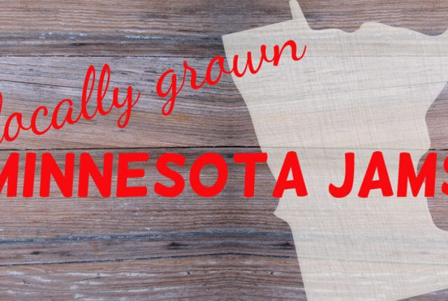 MN playlist 640x430 - Locally Grown Minnesota Jams - Playlist