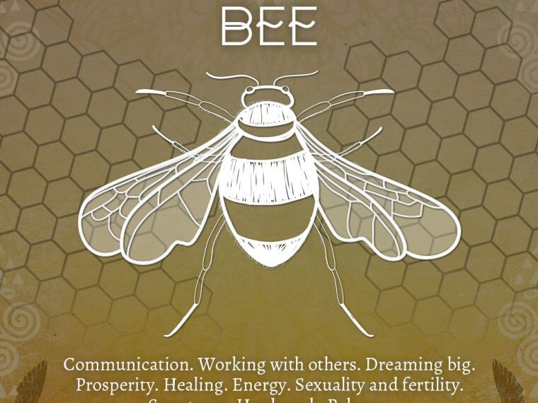 bee 760x570 - Bee Symbolism - Bee Spirit Animal