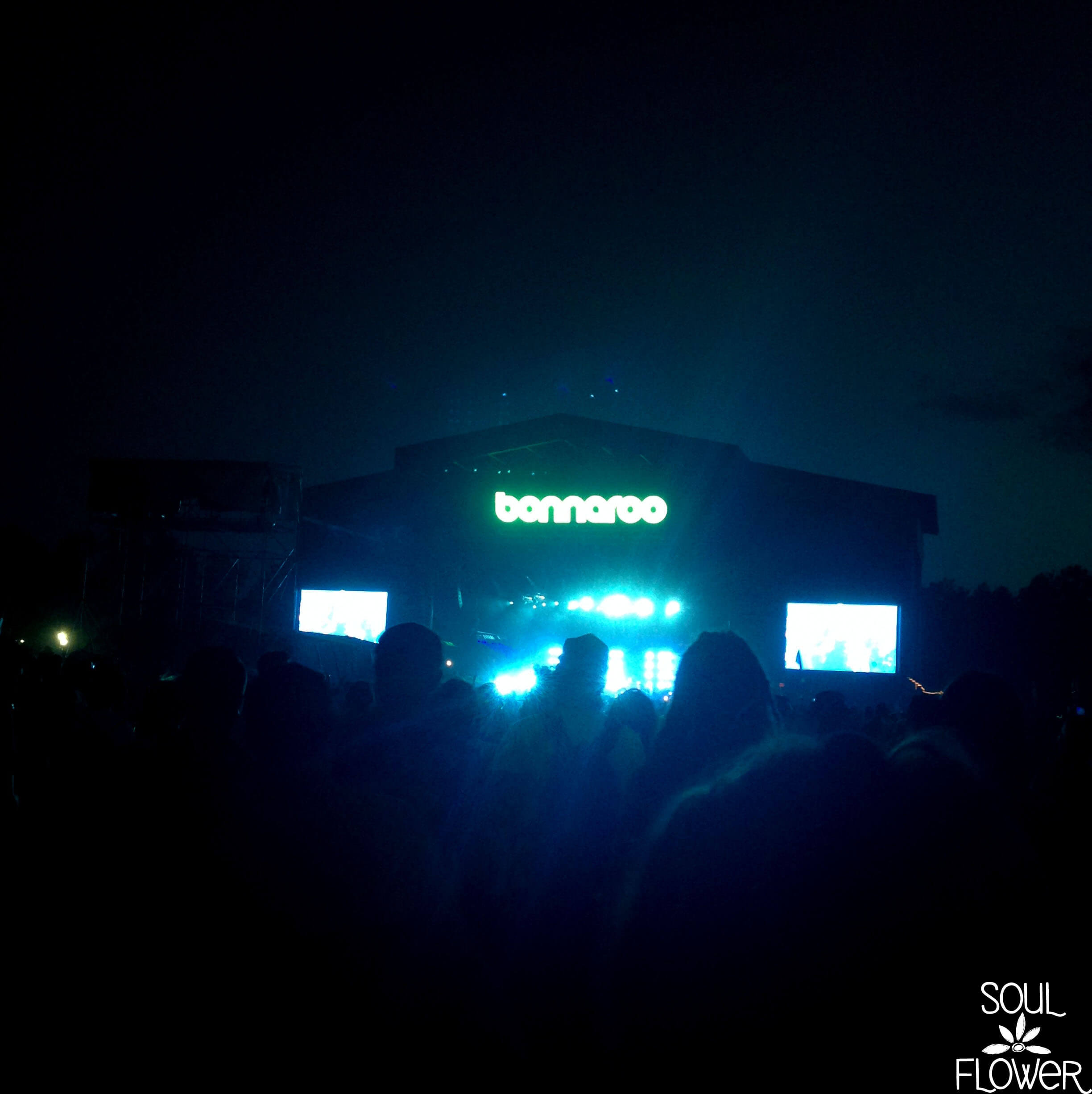 Bonnaroots - Soul Flower Blog 