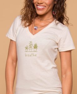 breathe3 245x300 - Top 10 Oxygen Producing Houseplants