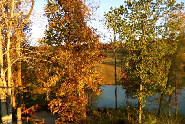 deck at sunset 10.29.16 640x430 - Stick with Natural Fibers...