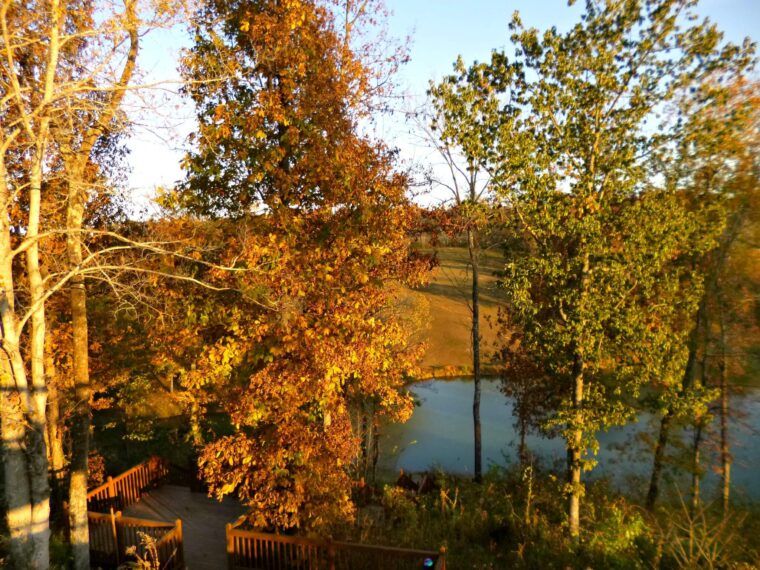 A small pond is partially visible behind autumn trees, with a wooden deck in the foreground and a grassy field in the background under a clear sky—an earthy scene that would look great on a funky hippie t-shirt. Soul Flower Blog: Hippie Style & Kind Living