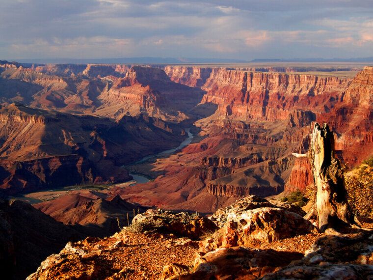 Earth Day Tips & Helpful Articles