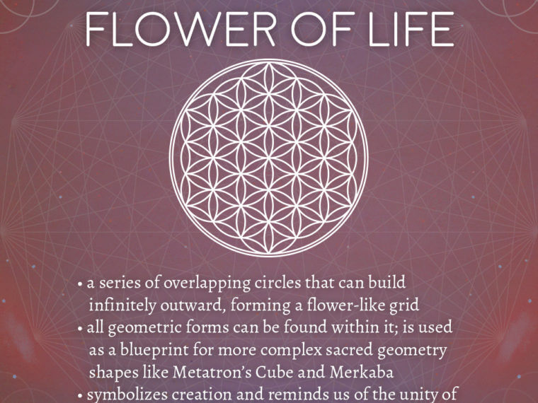 flower 760x570 - Flower of Life Meaning - Sacred Geometry