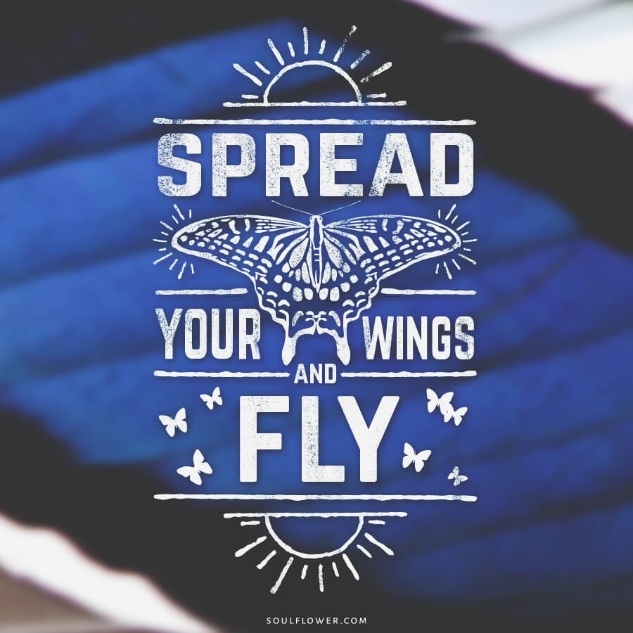 fly - Positive Quotes (Inspiration, Move Me Brightly!)