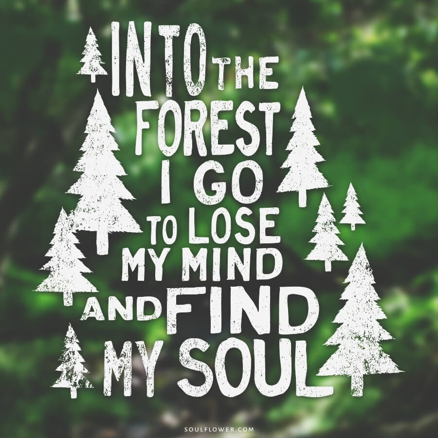 forest 1 - Positive Quotes (Inspiration, Move Me Brightly!)