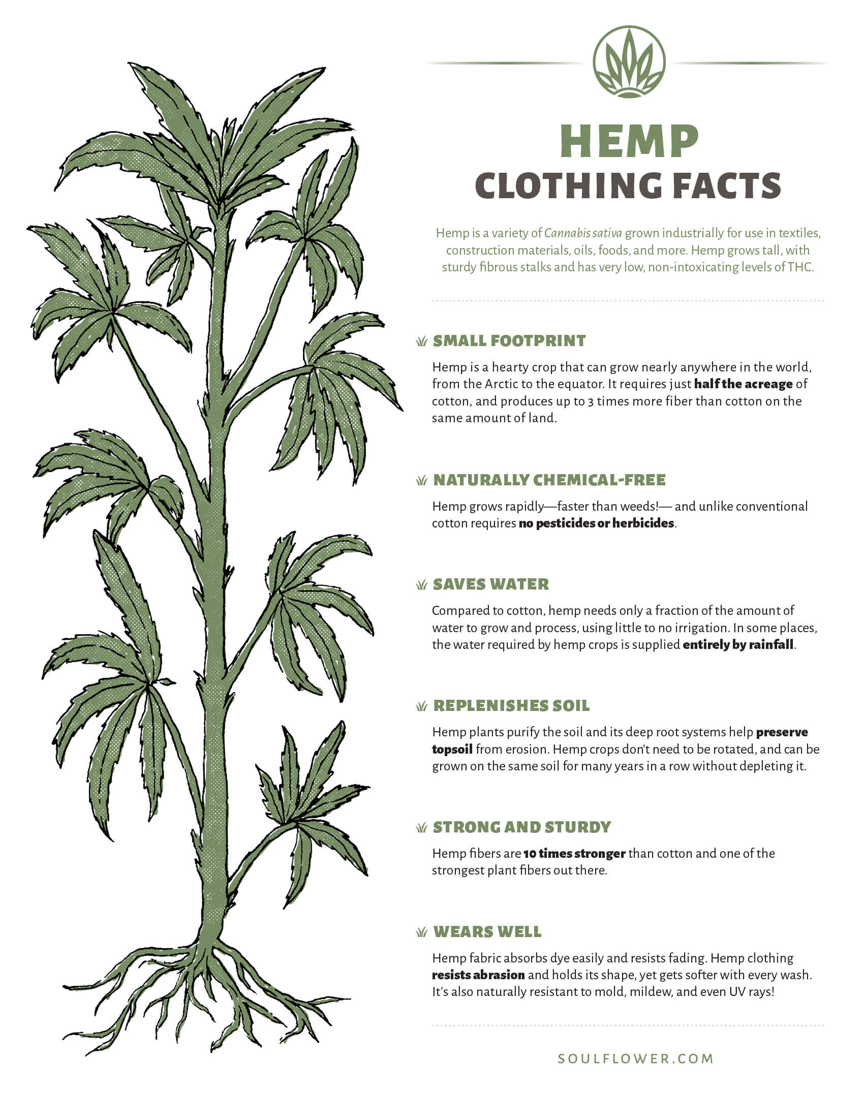 Hemp Clothing Benefits - A Sustainable Choice! hemp clothing benefits graphic - Hemp Clothing Benefits - A Sustainable Choice!