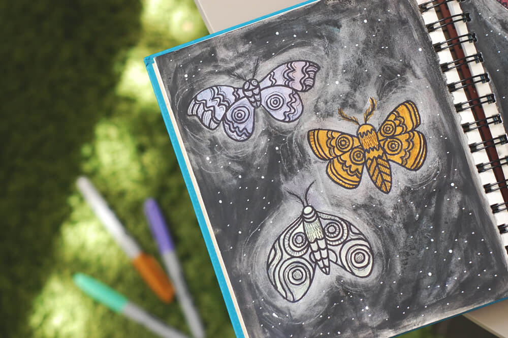 night moths 3 - Are you a Moth or a Butterfly?