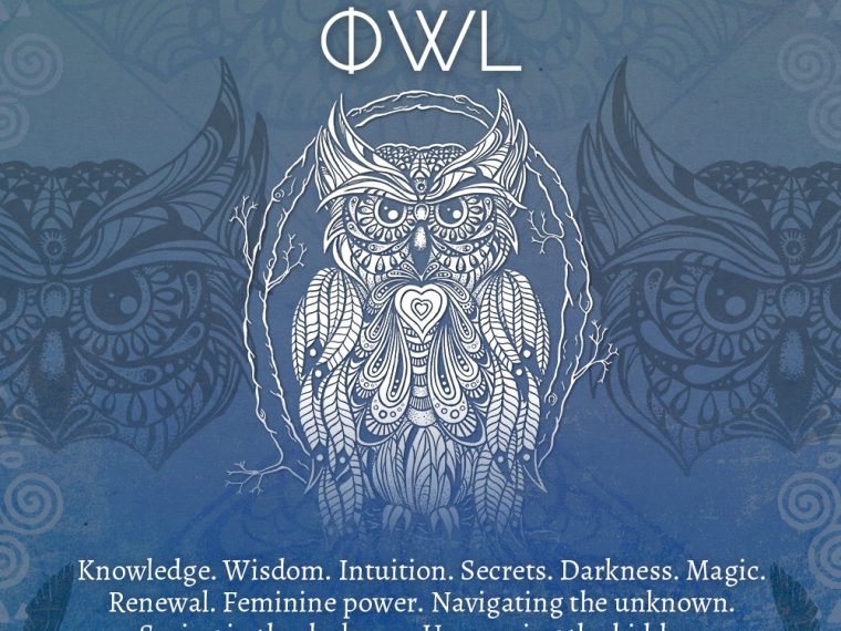 owl 760x570 - Owl Symbolism - Owl Spirit Animal