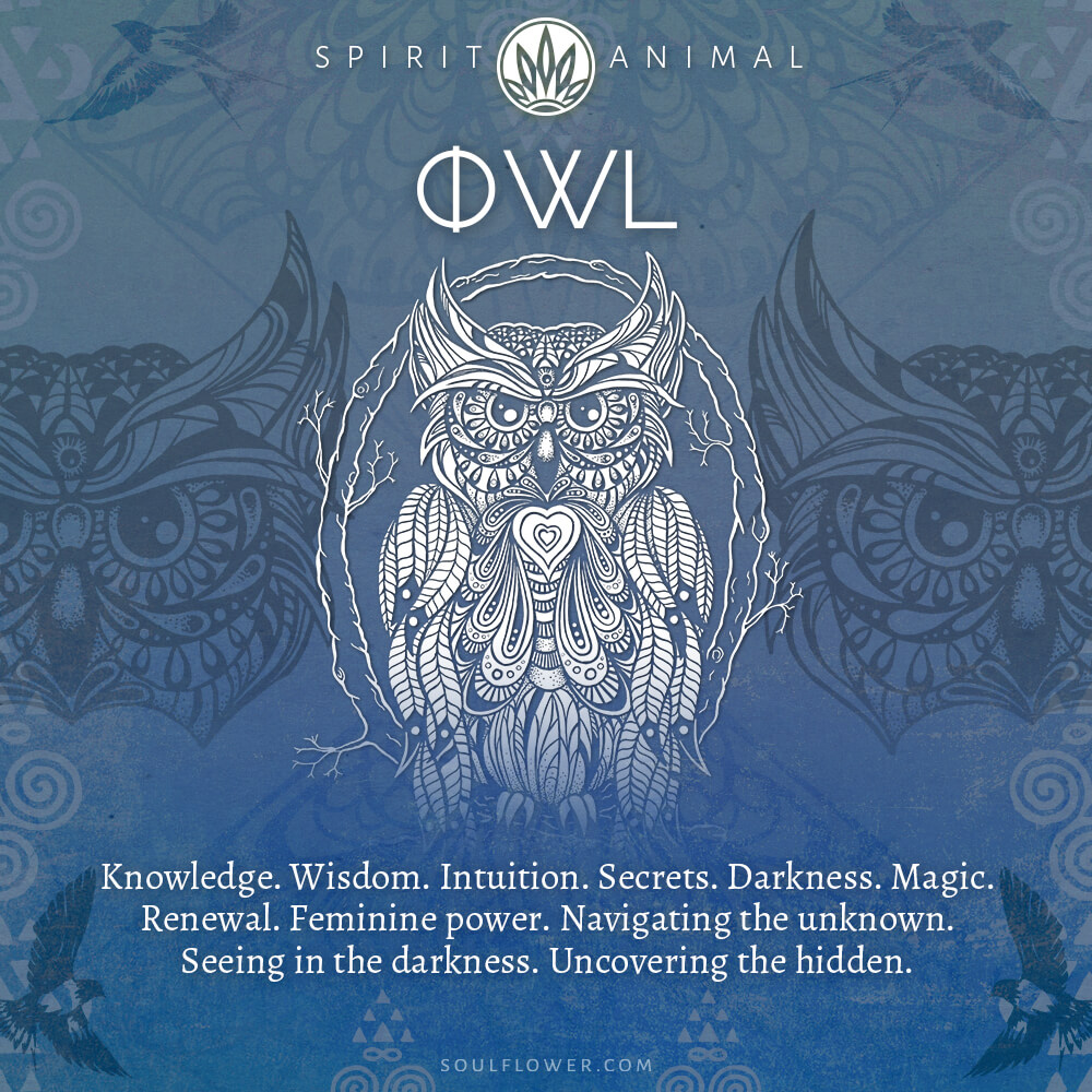 owl - Find Your Spirit Animal - Spirit Animal Meaning