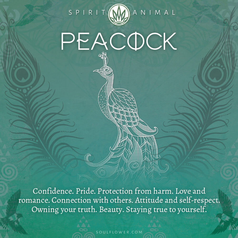 Find Your Spirit Animal - Spirit Animal Meaning Peacock