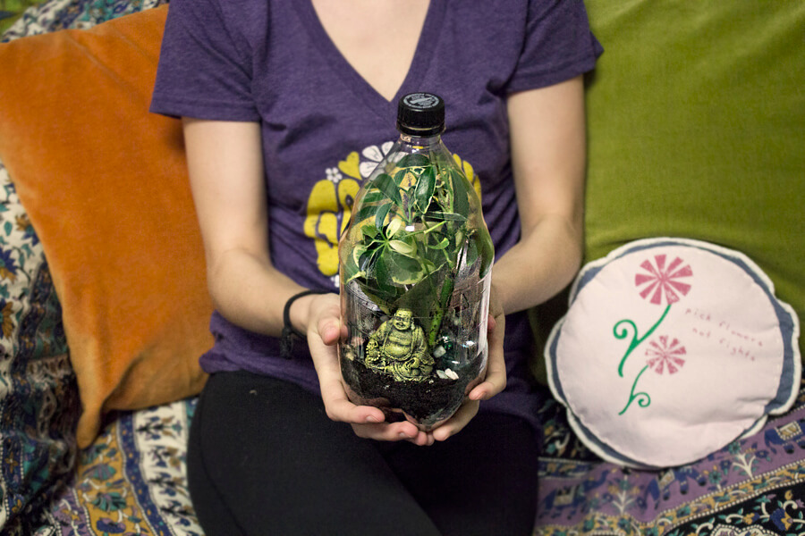 Recycled Plastic Bottle Terrarium 2 Liter Bottle Terrarium