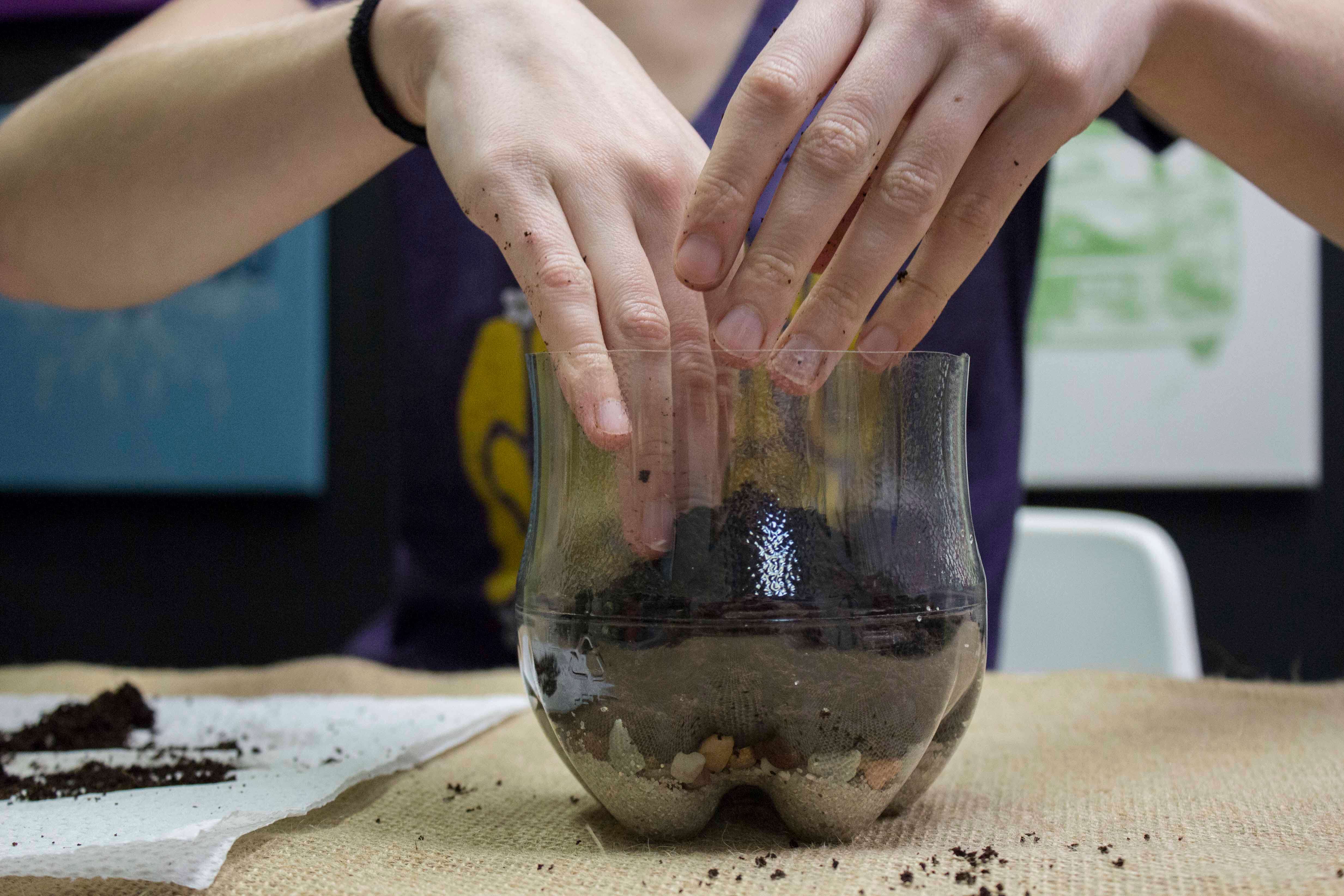 Recycled Plastic Bottle Terrarium - Soda Bottle Terrarium