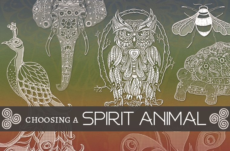 preview 760x500 - Find Your Spirit Animal - Spirit Animal Meaning