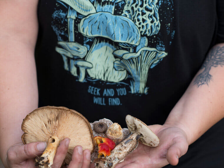 Mushroom Foraging