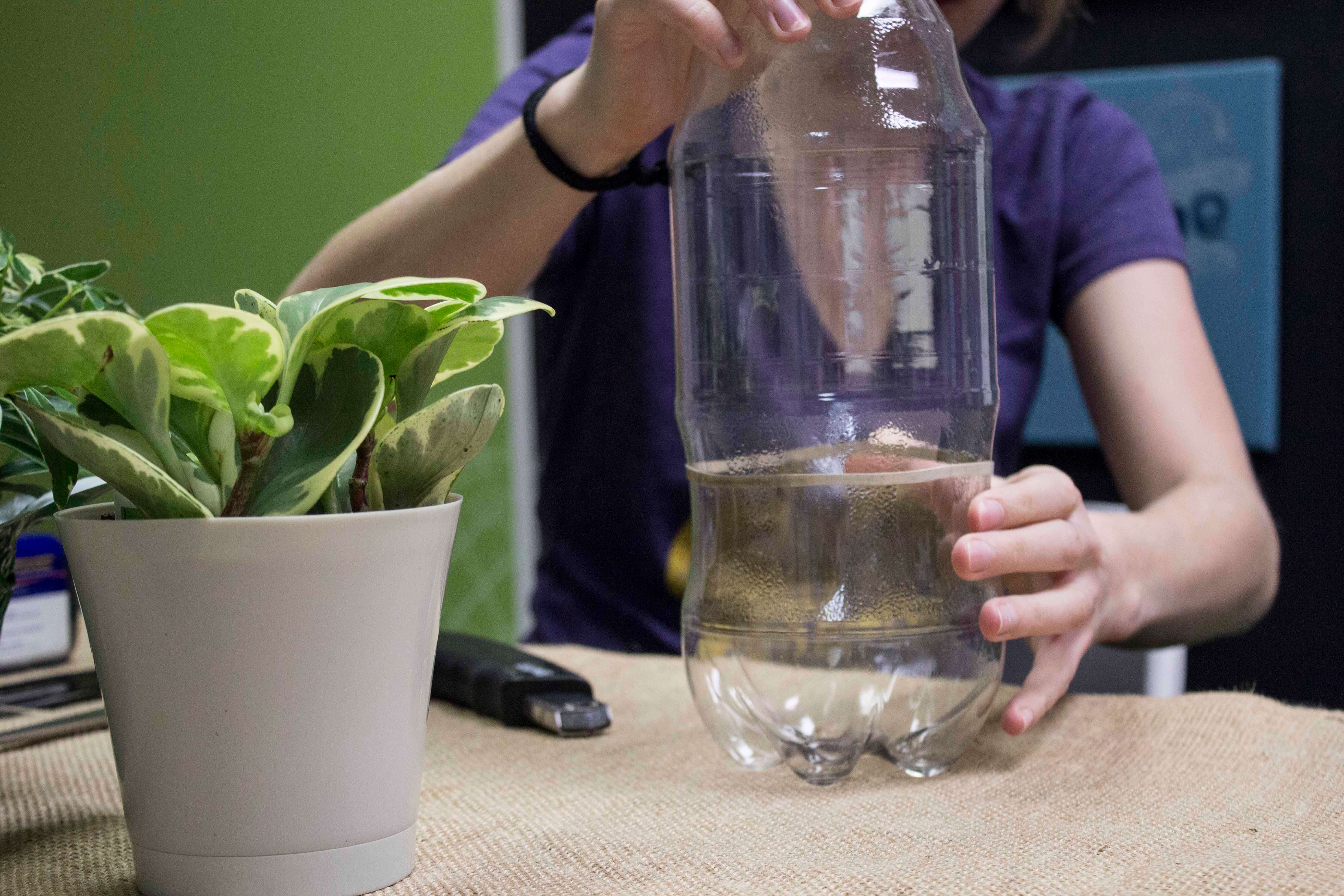 soda bottle terrarium rubber band - Plastic Bottle Terrarium - Soda Bottle Terrarium