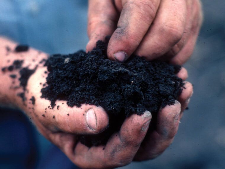 Soul Flower Introduces New Dirt Dye!