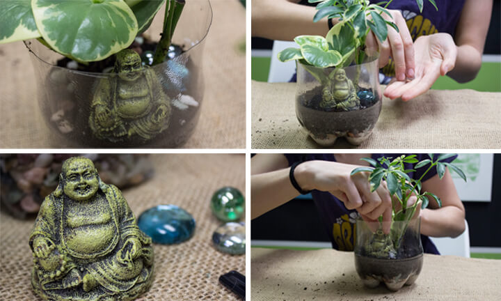 terrarium buddha - Plastic Bottle Terrarium - Soda Bottle Terrarium