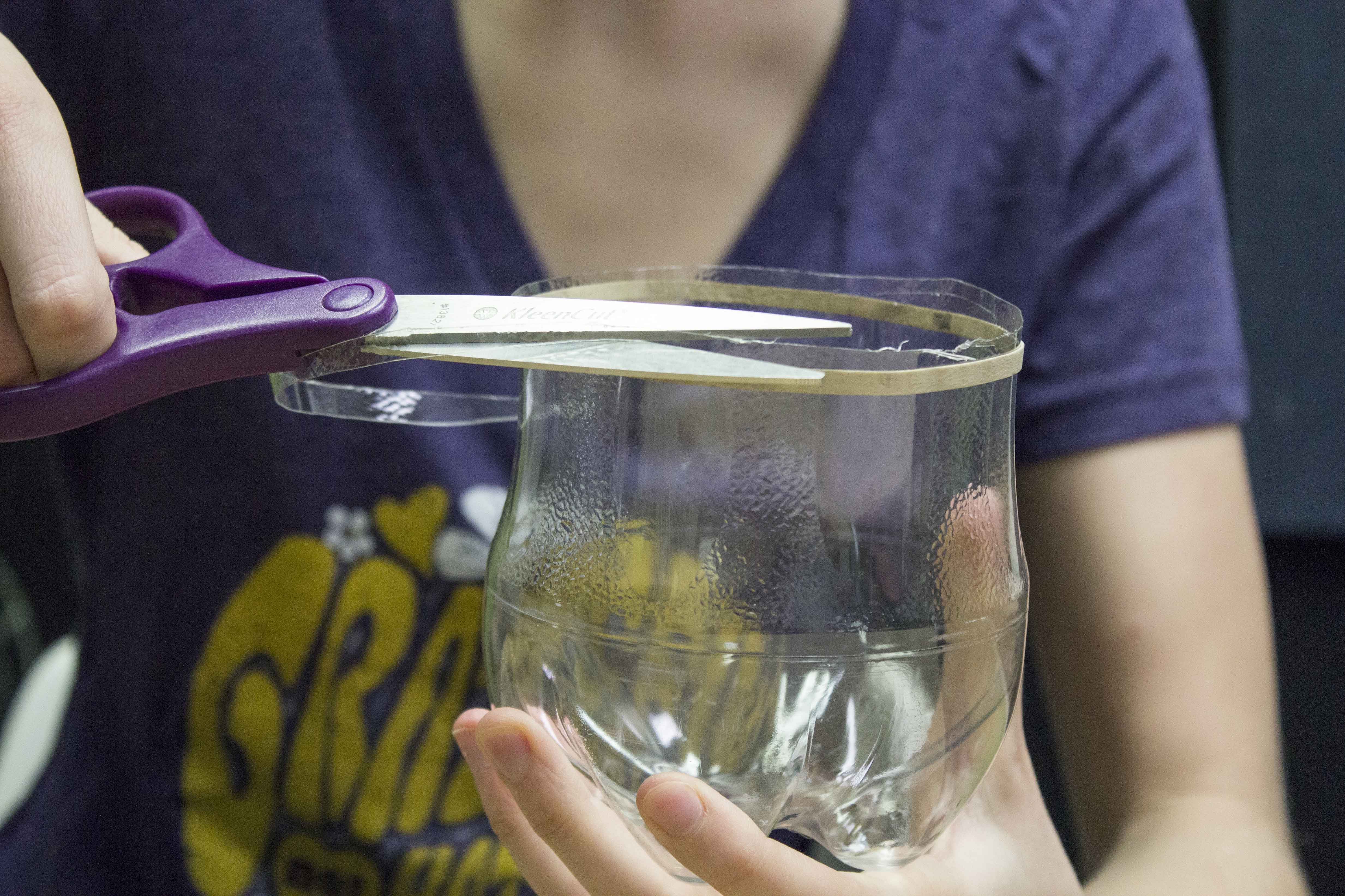 Recycled Plastic Bottle Terrarium - Soda Bottle Terrarium