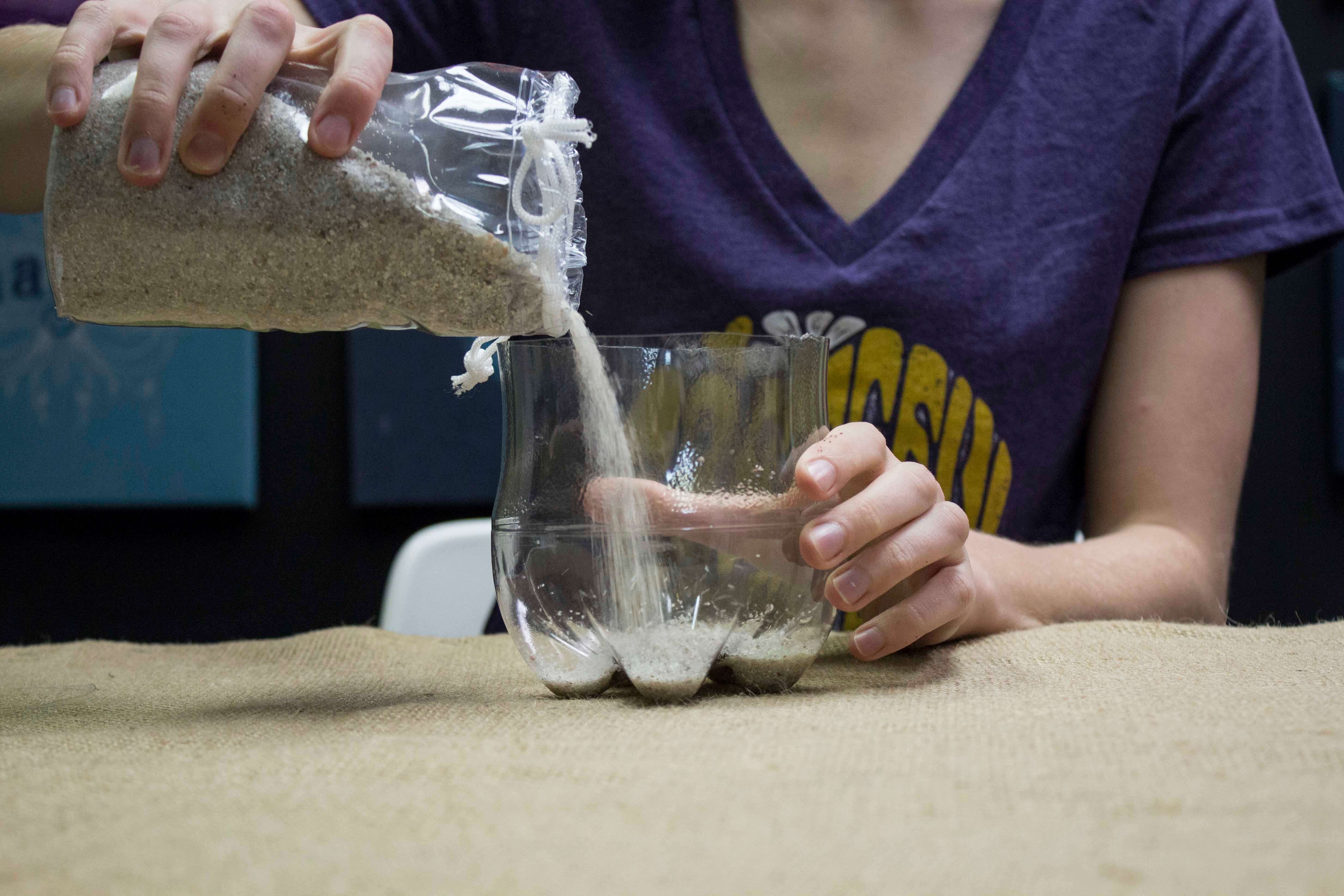 Recycled Plastic Bottle Terrarium - Soda Bottle Terrarium