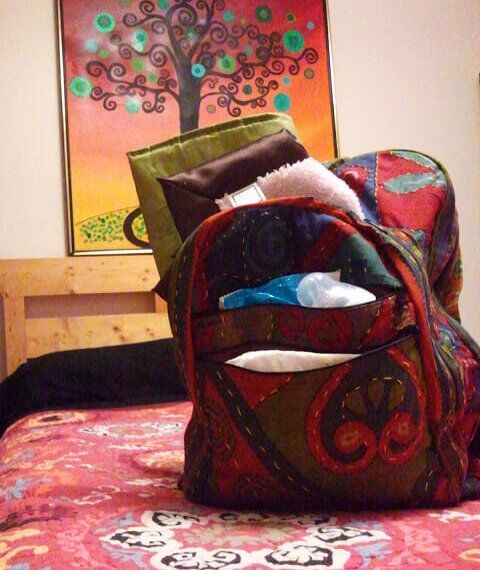 Dandelion Wine Backpack