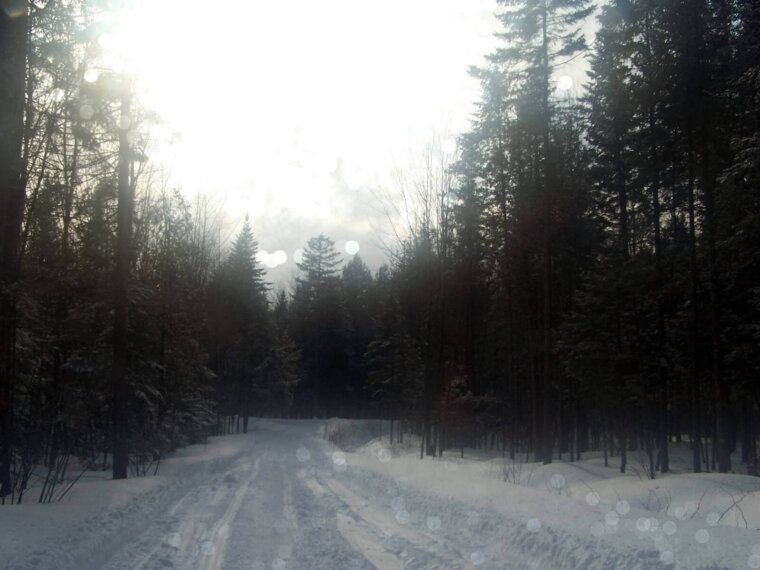 Reasons to Love Winter