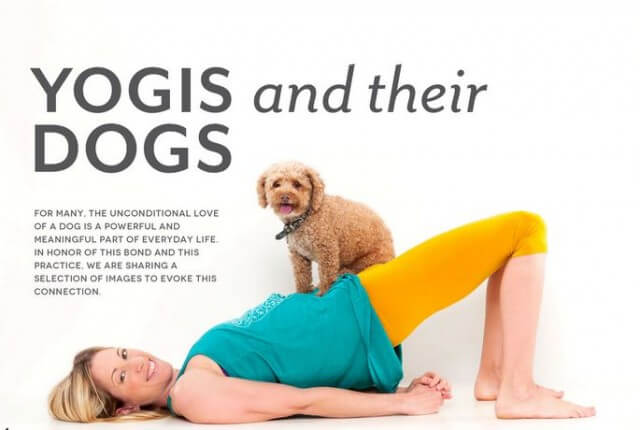 yogis and dogs 640x430 - Soul Flower in LA Yoga Magazine!