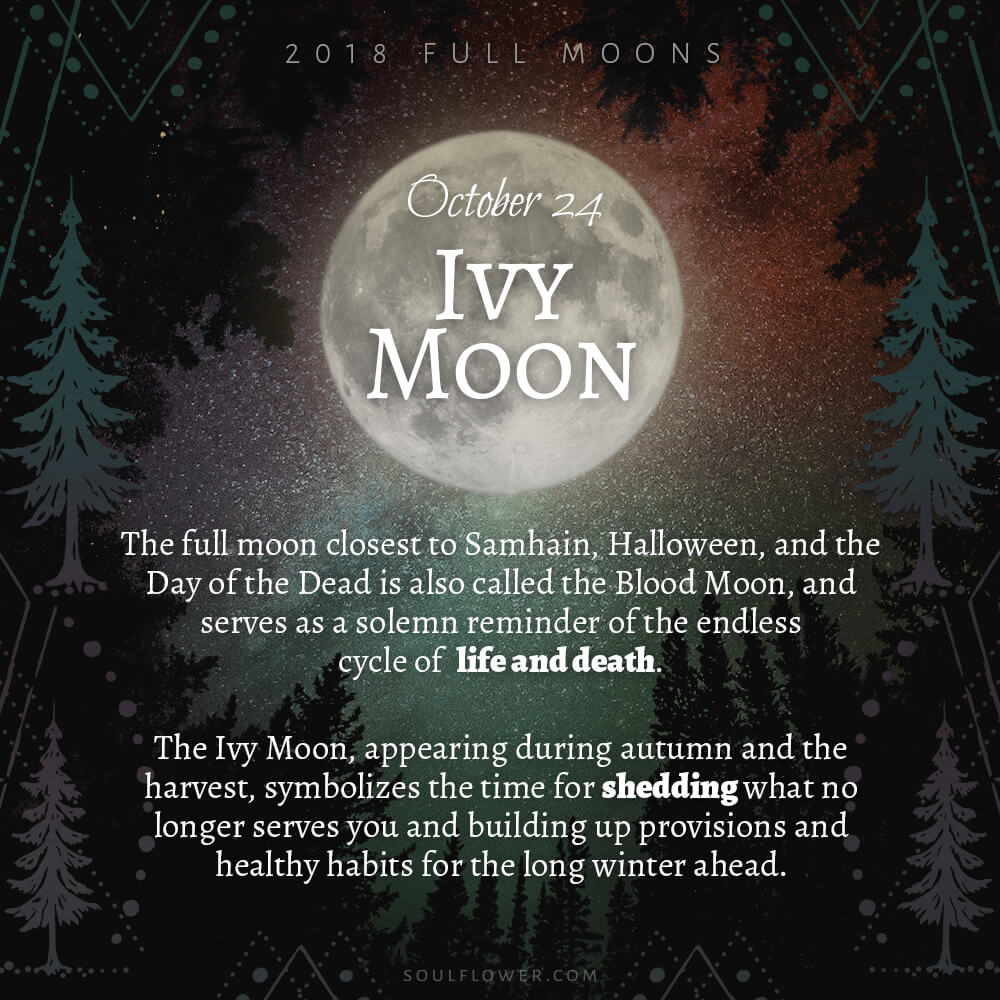 Full moon graphic labeled October 24 Ivy Moon, part of the 2018 Full Moons - October Ivy Moon series, with text explaining its symbolism of life, death, and preparation for winter against a forest background. Soul Flower Blog: Hippie Style & Kind Living