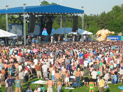 Bonnaroo Bound: Festival Packing Tips & Picks