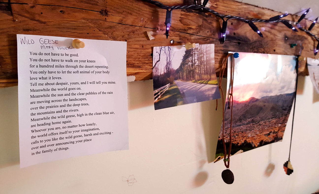 The Peace of Wild Geese